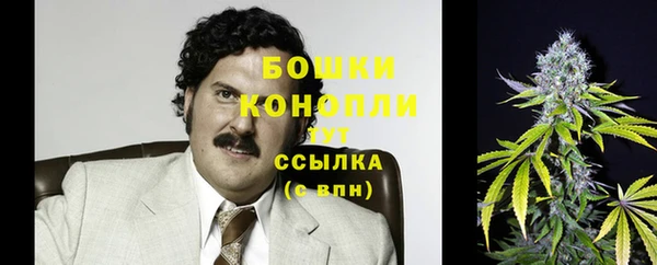 spice Вяземский