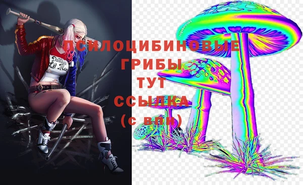spice Вяземский