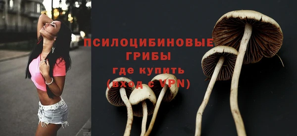 первитин Вязники