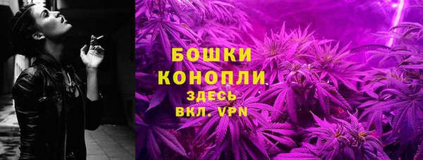 spice Вяземский