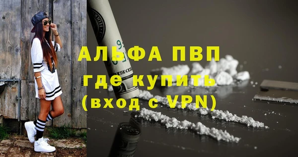 spice Вяземский