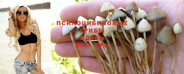 spice Вяземский