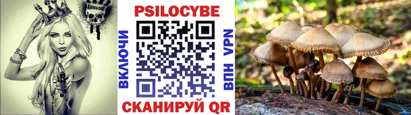 цена   Новочебоксарск  Псилоцибиновые грибы Magic Shrooms 